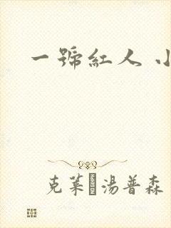 一号红人 小说