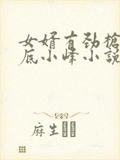 女婿有劲枪枪到底小峰小说