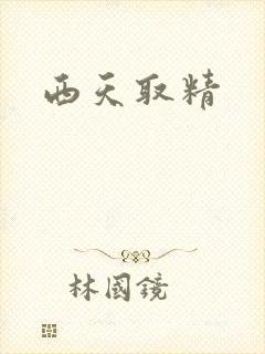 西天取精