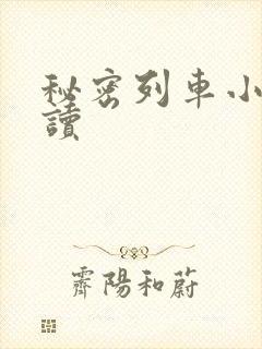 秘密列车小说阅读