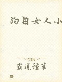 狗日女人小说