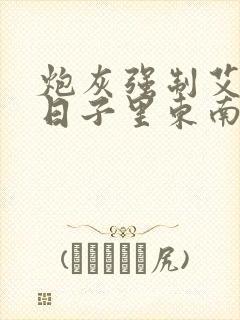 炮灰强制艾草的日子里东南枝小说