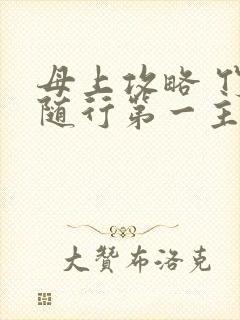 母上攻略 竹影随行第一主板