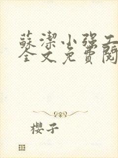 苏洁小强工地情全文免费阅读