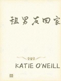 租男友回家过年