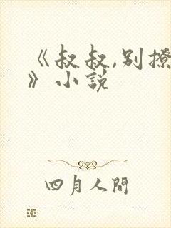 《叔叔,别撩我》小说