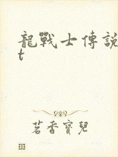 龙战士传说txt