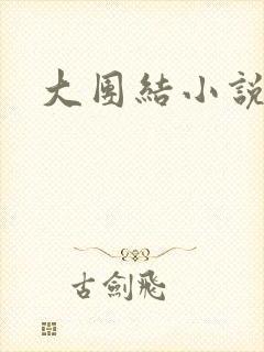 大团结小说全文