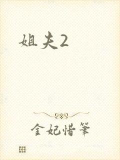姐夫2