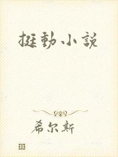 挺动小说