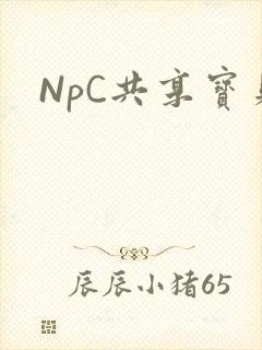 NpC共享宝贝
