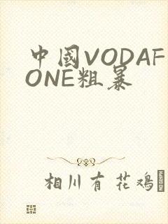 中国VODAFONE粗暴
