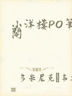 小洋楼PO笔趣阁