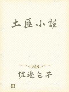 土匪小说