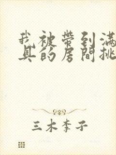 我被带到满是玩具的房间挑调作文