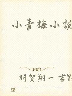 小青梅小说
