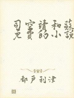 司空靖和苏月汐免费的小说笔趣阁