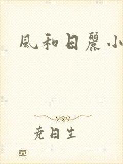 风和日丽小说
