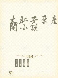 大肚子孕产笔趣阁小说