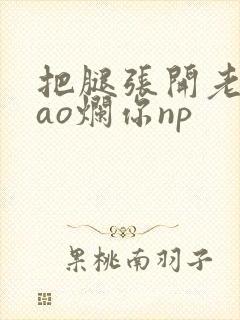 把腿张开老子cao烂你np