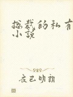 总裁的私有宝贝小说