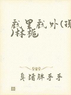 戏里戏外(现场)林栀