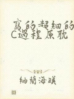 写的超细的多肉C过程原耽