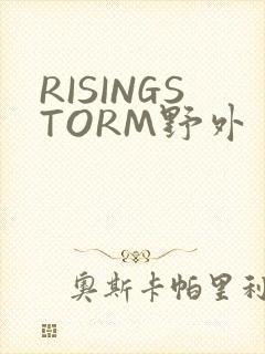 RISINGSTORM野外