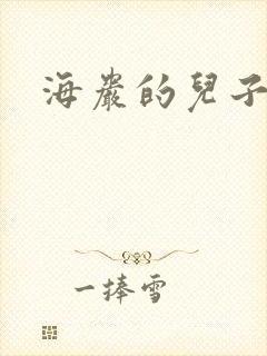 海岩的儿子