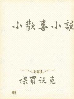 小欢喜小说