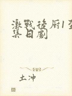 激战后厨1至5集日剧