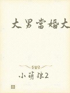 大男当婚大结局