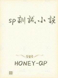 sp训诫小说