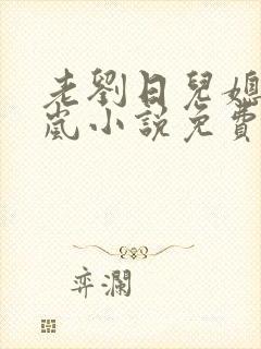 老刘日儿媳妇张岚小说免费阅读