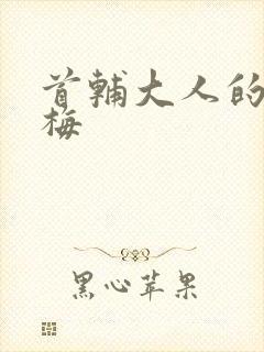 首辅大人的小青梅