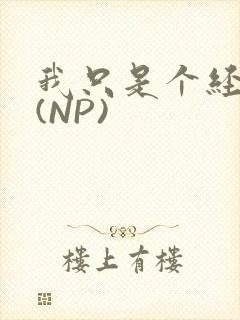 我只是个经纪人(NP)