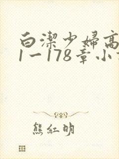 白洁少妇高义第1一178章小说