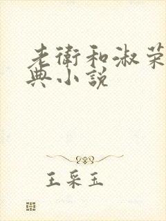 老卫和淑荣的经典小说