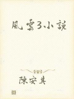 风云3小说