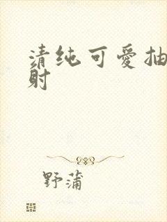 清纯可爱抽插内射