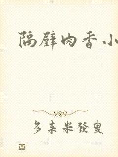 隔壁肉香小说
