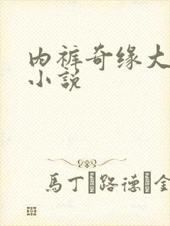 内裤奇缘大团结小说