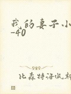 我的妻子小谨1-40