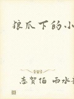 狼爪下的小雏菊