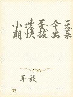 小坏蛋今天危险期快拔出来