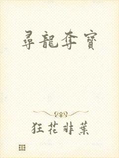 寻龙夺宝