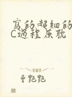 写的超细的多肉C过程原耽