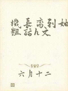 机长脔到她哭h粗话h文