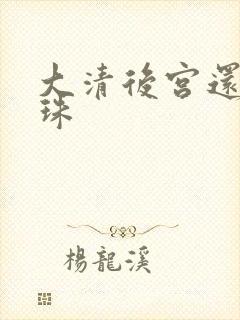 大清后宫还君明珠