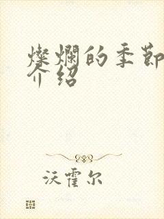 灿烂的季节剧情介绍